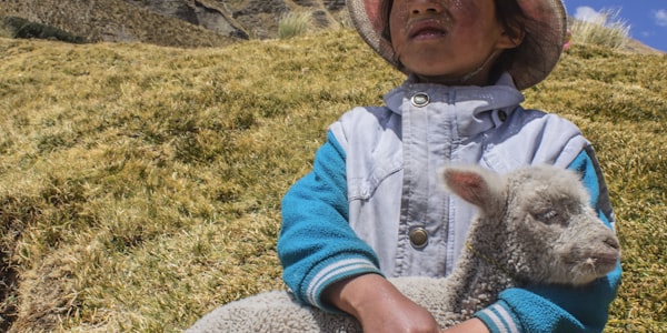 篮球战术板上绘制的复杂战术示意图